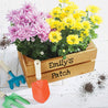 Kid's Personalised Wooden Planter Crate with Seeds