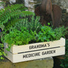 Personalised Windowsill Plater Crate with Medicinal Herb Seeds