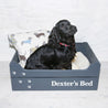 Large Personalised Dog Bed Wooden Crate