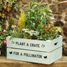Personalised Wooden Crate With Wildlife Attracting Seeds - Large